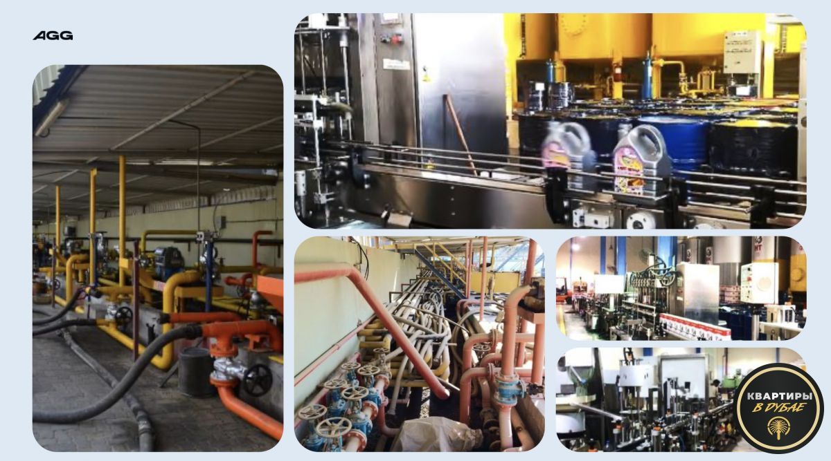 Commercial property in Dubai, UAE, 20 000 m² - picture 5