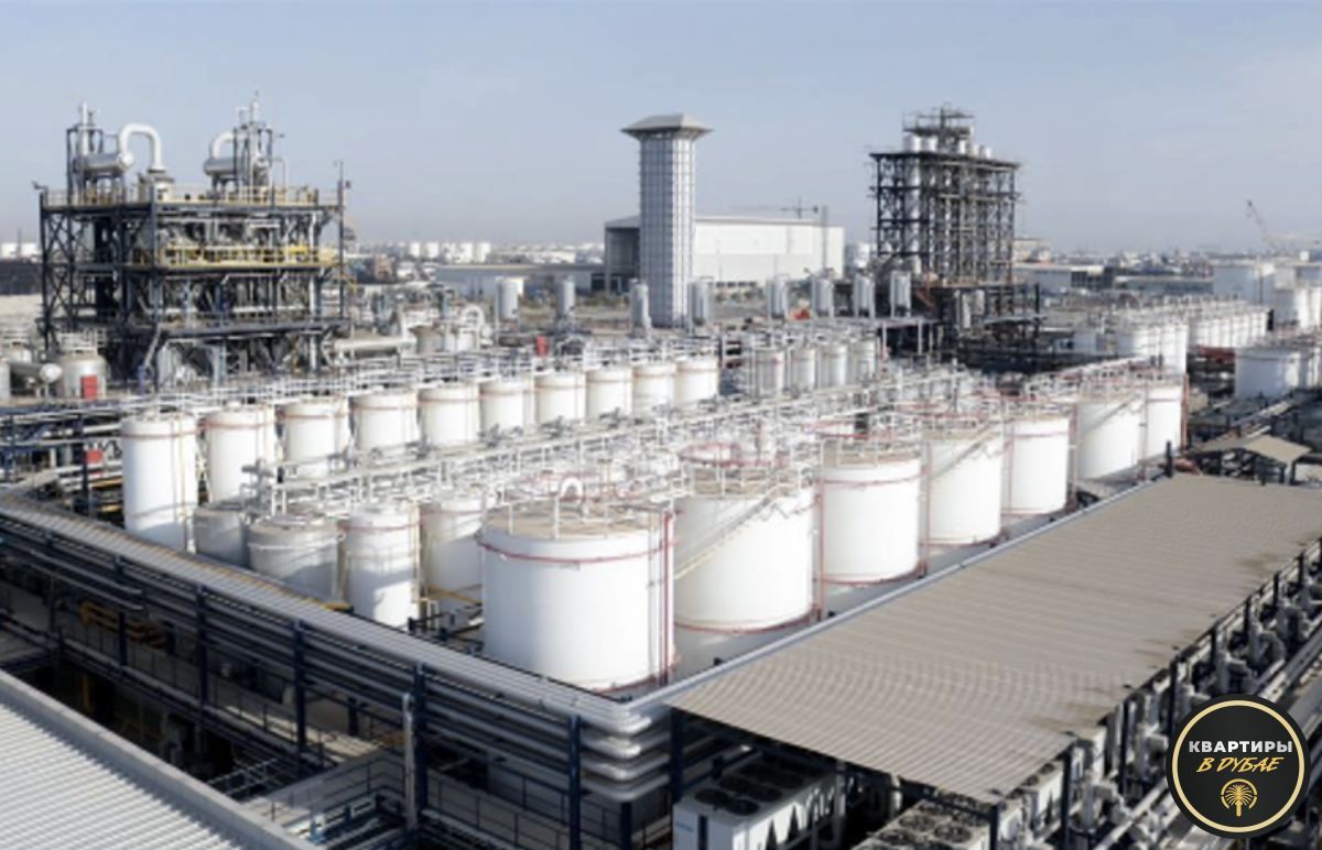 Propiedad comercial en Dubái, EAU, 20 000 m² - imagen 6