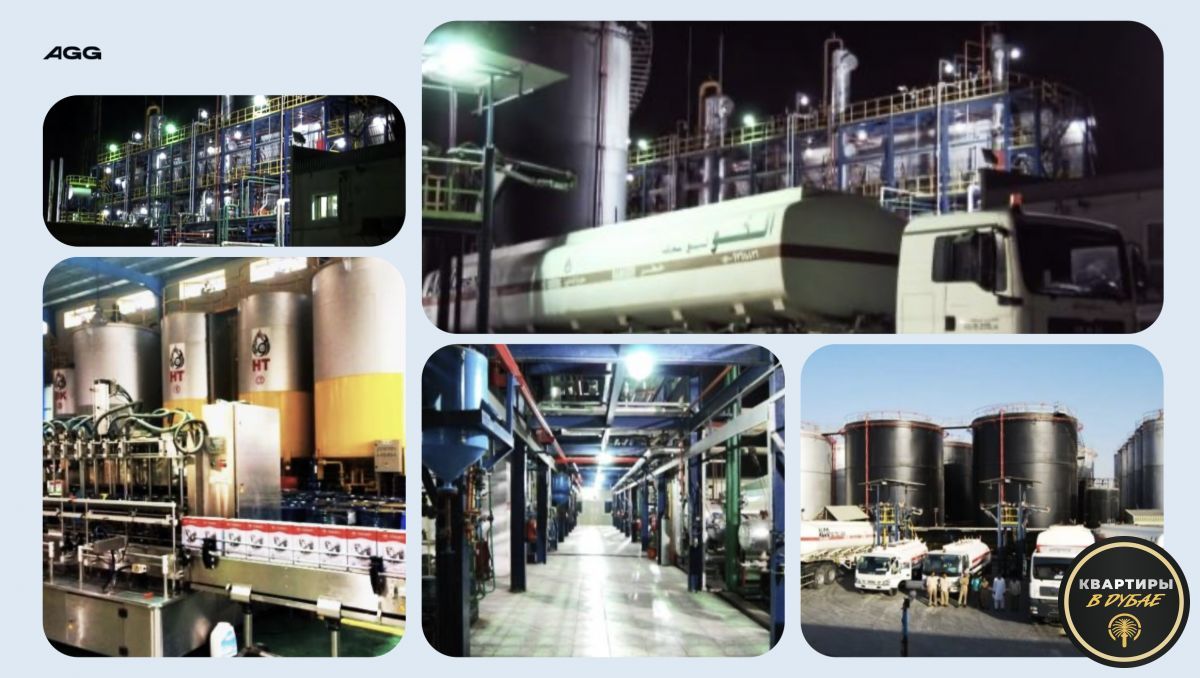 Commercial property in Dubai, UAE, 20 000 m² - picture 6