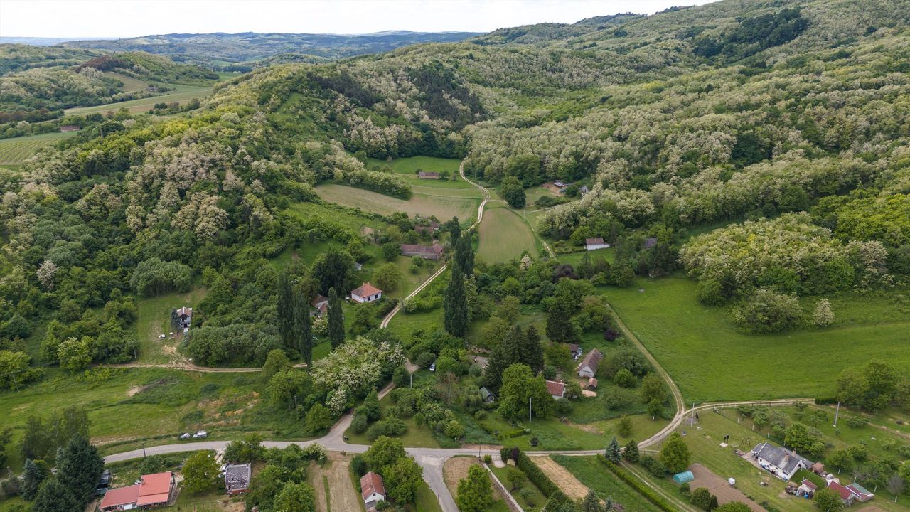 Land in Heviz, Hungary, 34 000 m² - picture 5