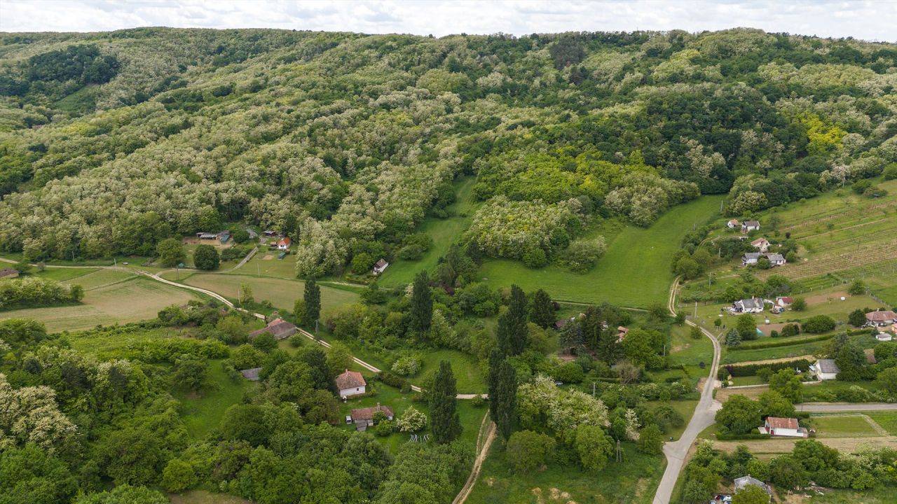 Land in Heviz, Hungary, 34 000 m² - picture 2