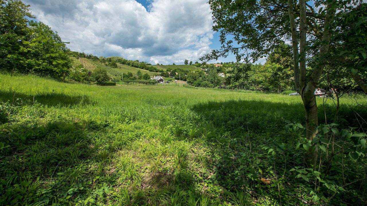 Land in Heviz, Hungary, 34 000 m² - picture 17