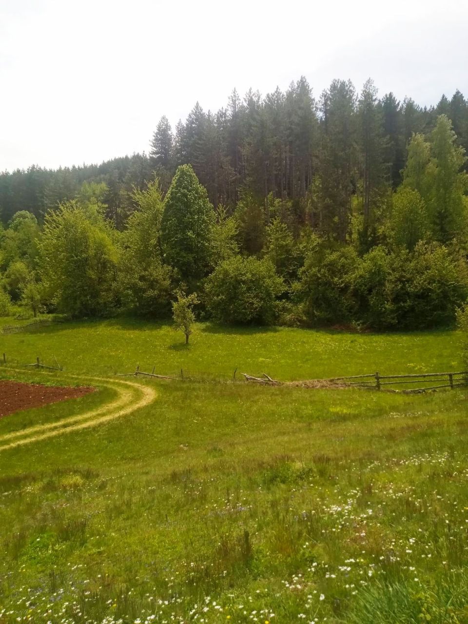 Maison à Pljevlja, Monténégro, 76 m² - image 5