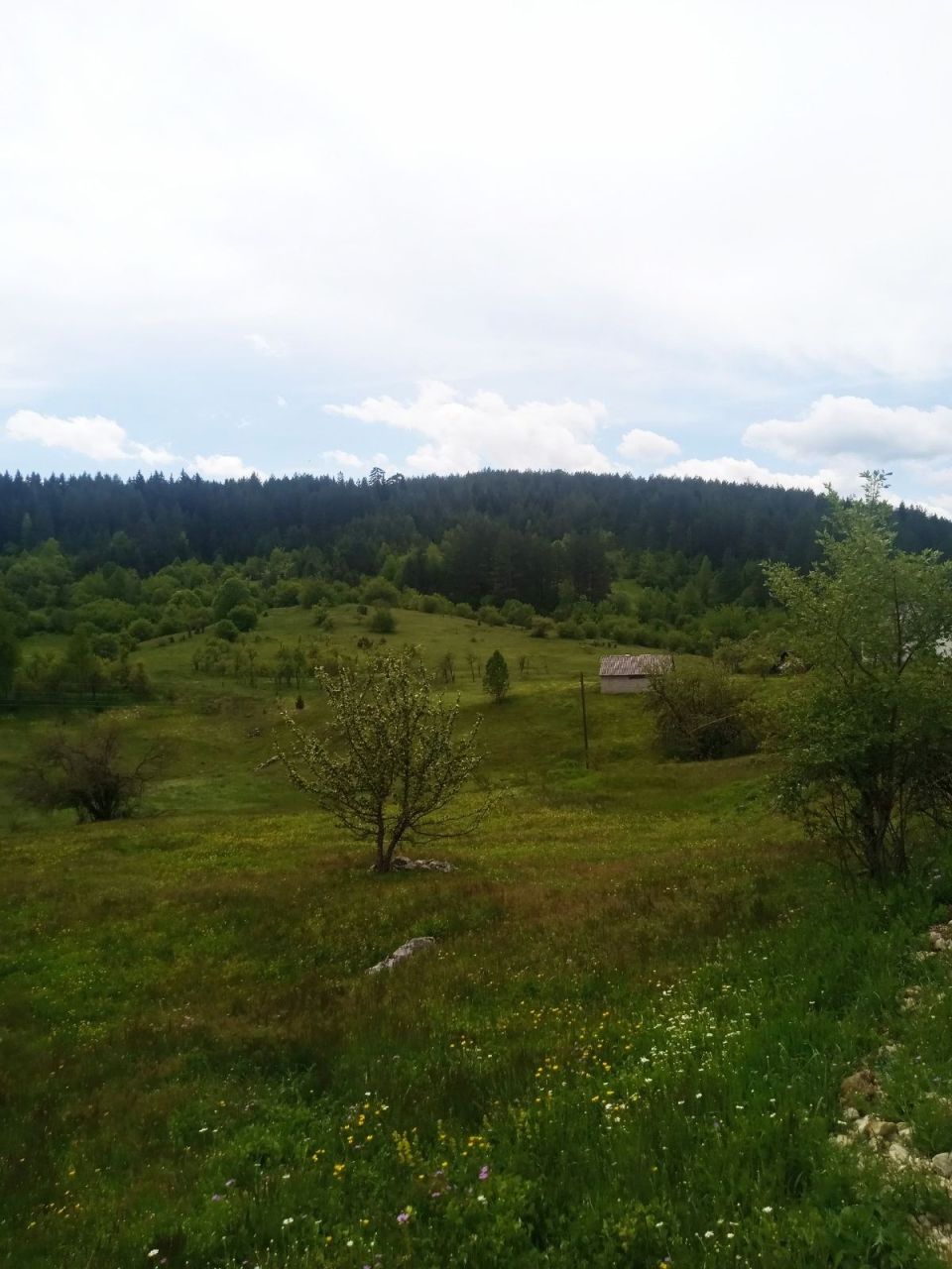 Maison à Pljevlja, Monténégro, 76 m² - image 9