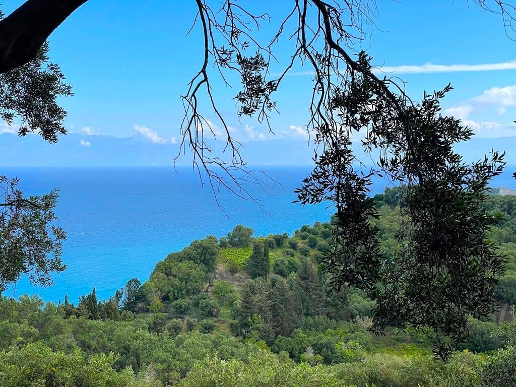 Grundstück in Korfu, Griechenland, 4 337 m² - Foto 2