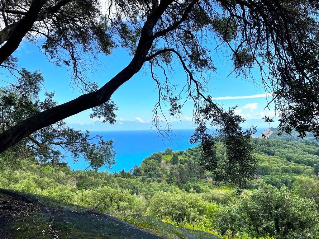 Grundstück in Korfu, Griechenland, 4 337 m² - Foto 3