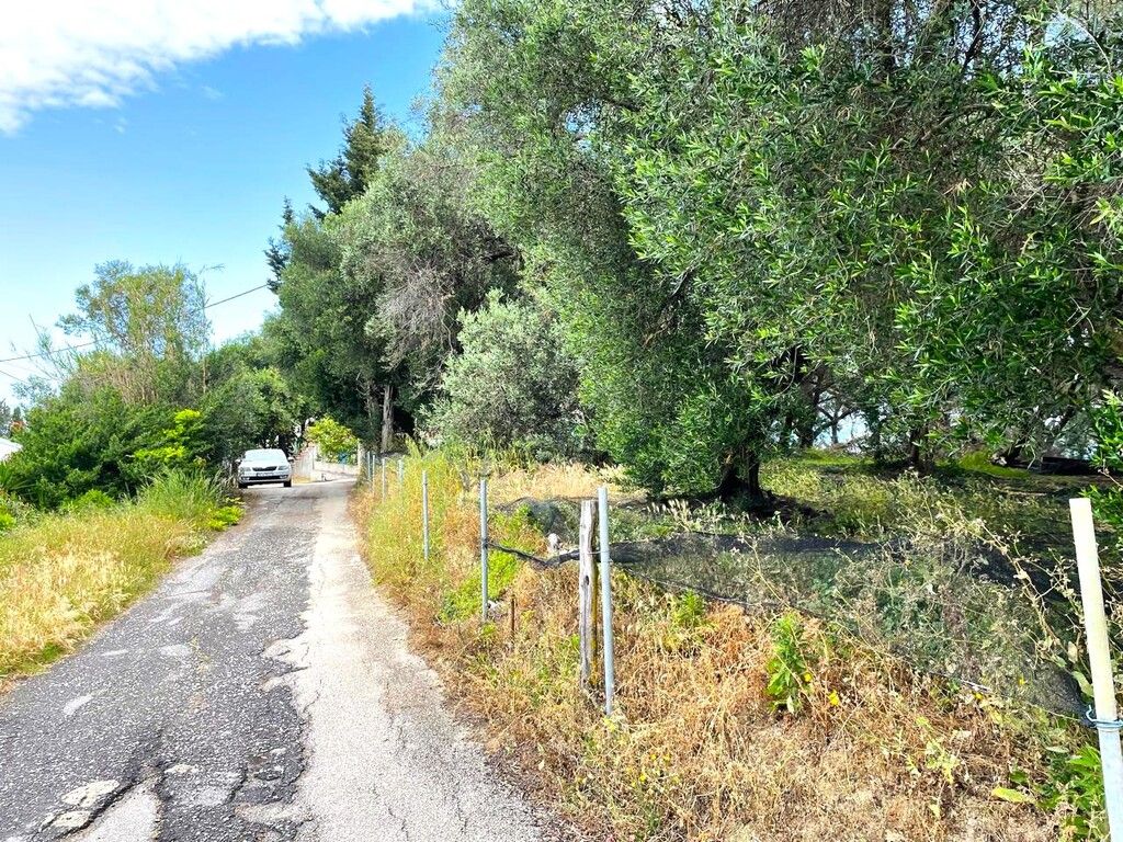 Grundstück in Korfu, Griechenland, 4 337 m² - Foto 6