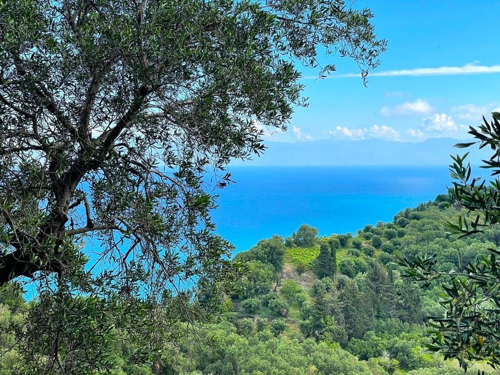 Grundstück in Korfu, Griechenland, 4 337 m² - Foto 12