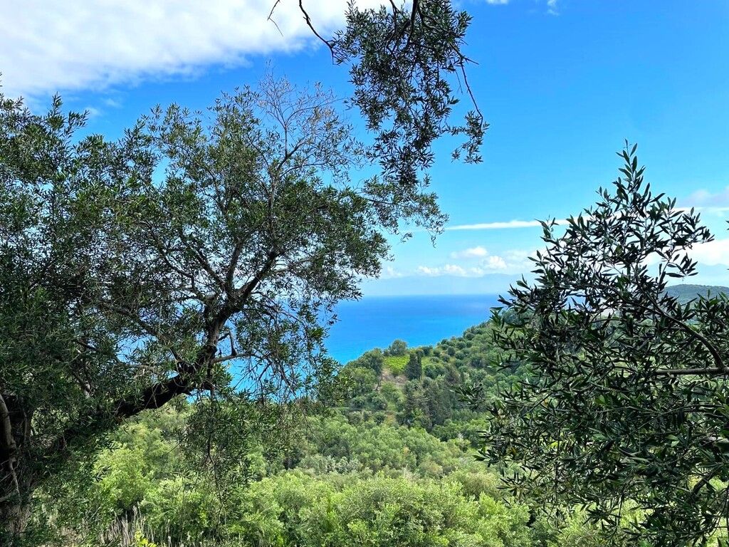 Grundstück in Korfu, Griechenland, 4 337 m² - Foto 13