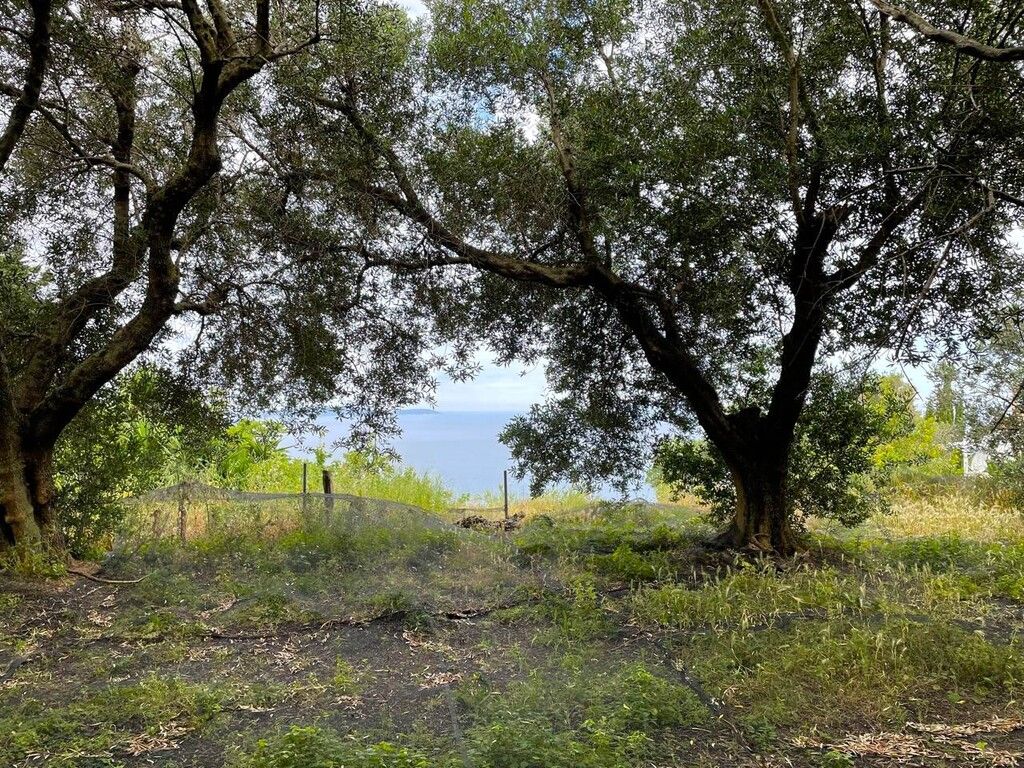 Grundstück in Korfu, Griechenland, 4 337 m² - Foto 15