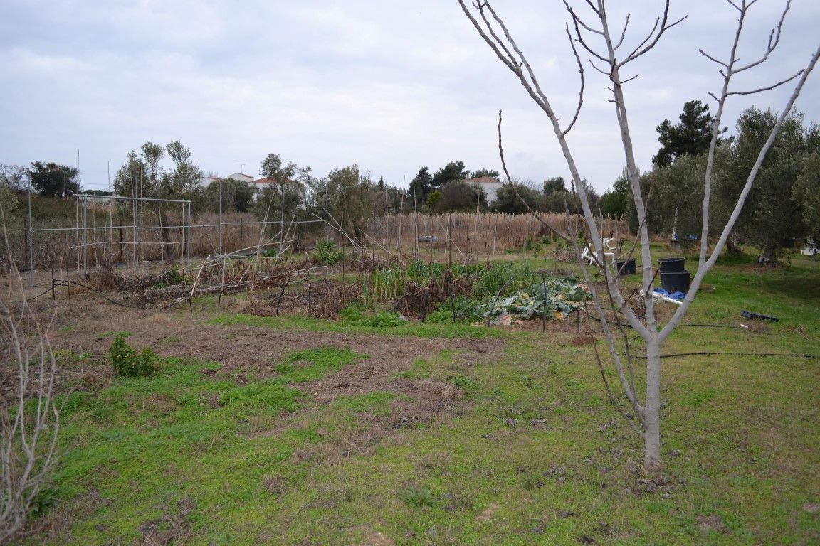 Terrain en Sithonie, Grèce, 1 000 m² - image 2