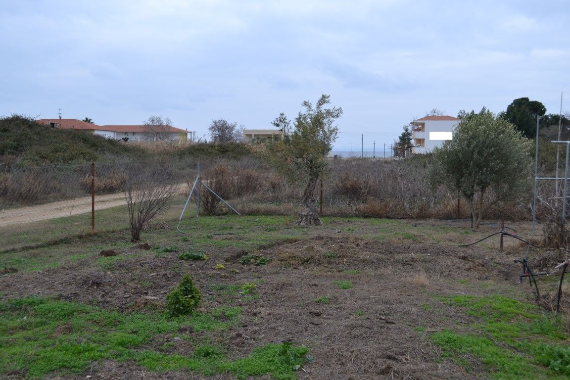Terrain en Sithonie, Grèce, 1 000 m² - image 3
