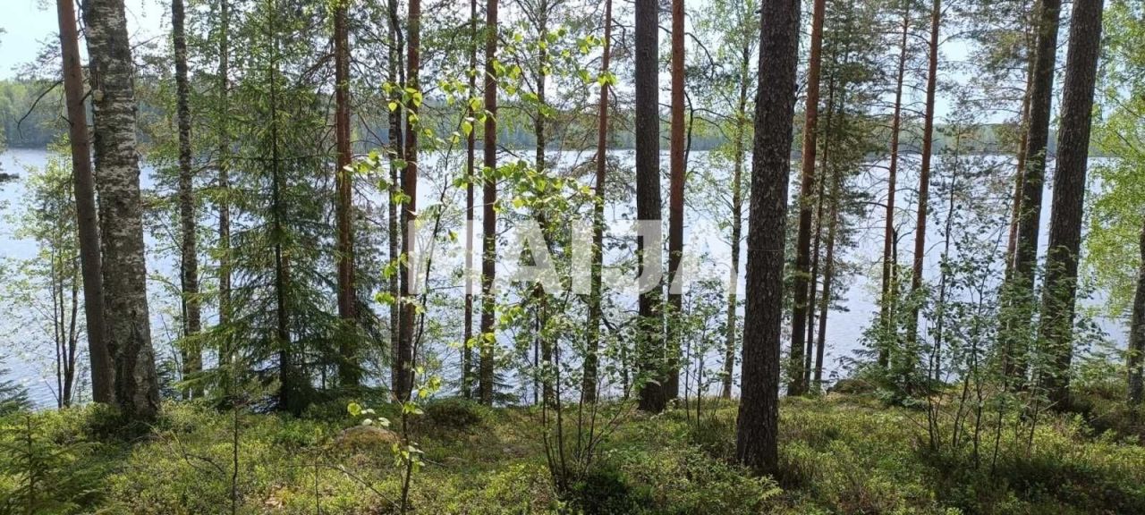 Terrain à Savonlinna, Finlande, 7 850 m² - image 1
