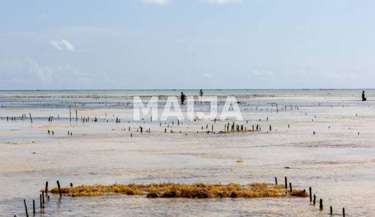 Grundstück Pongwe, Tansania, 5 000 m² - Foto 7