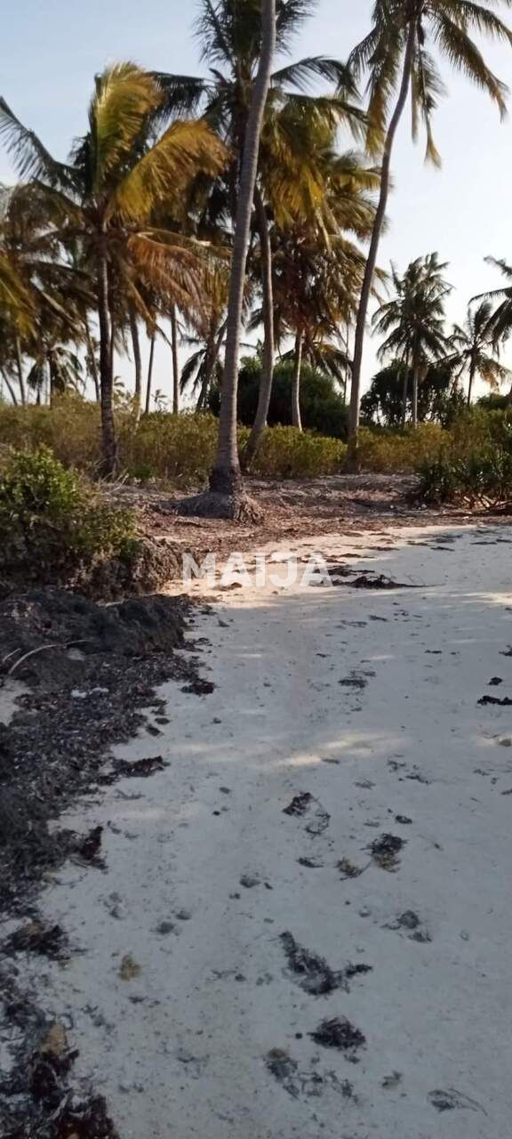 Grundstück Pongwe, Tansania, 5 000 m² - Foto 10