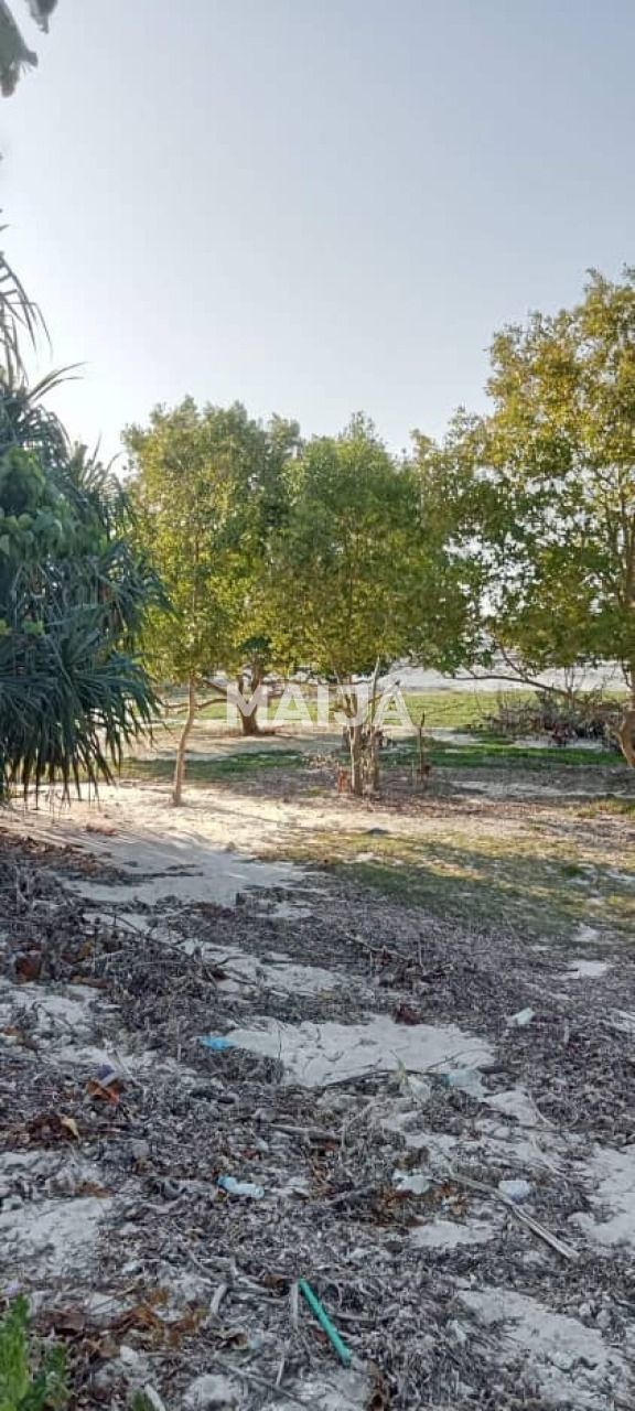 Grundstück Pongwe, Tansania, 5 000 m² - Foto 11