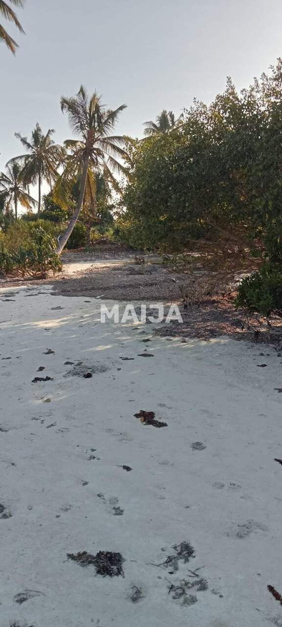 Grundstück Pongwe, Tansania, 5 000 m² - Foto 12