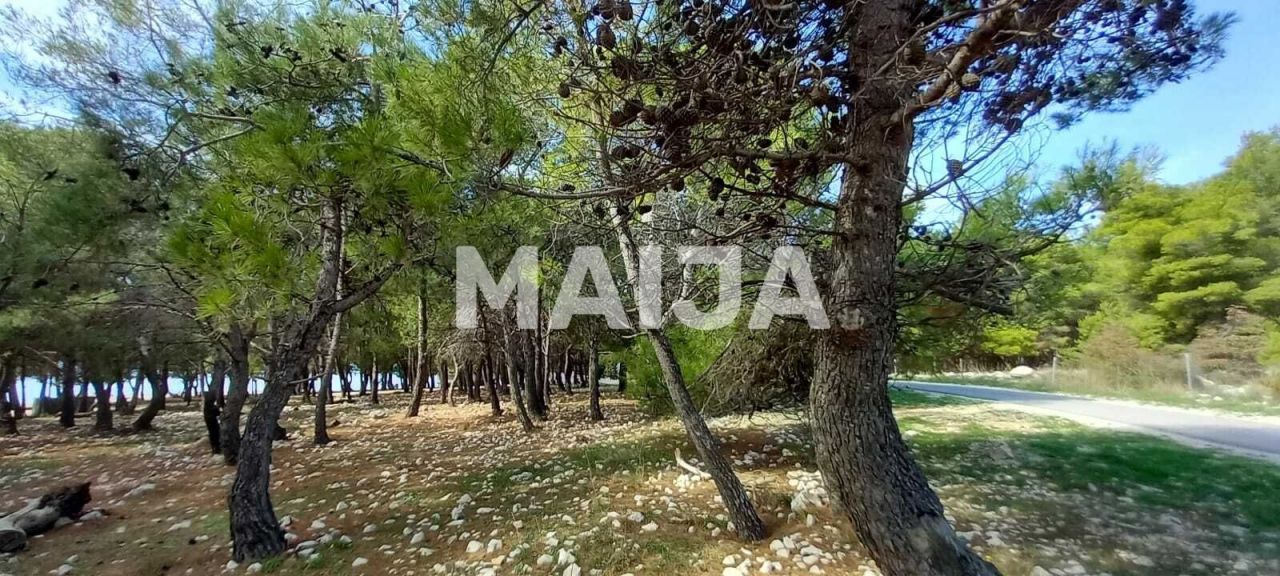 Appartamenti Povljana, Croazia, 79 m² - foto 13