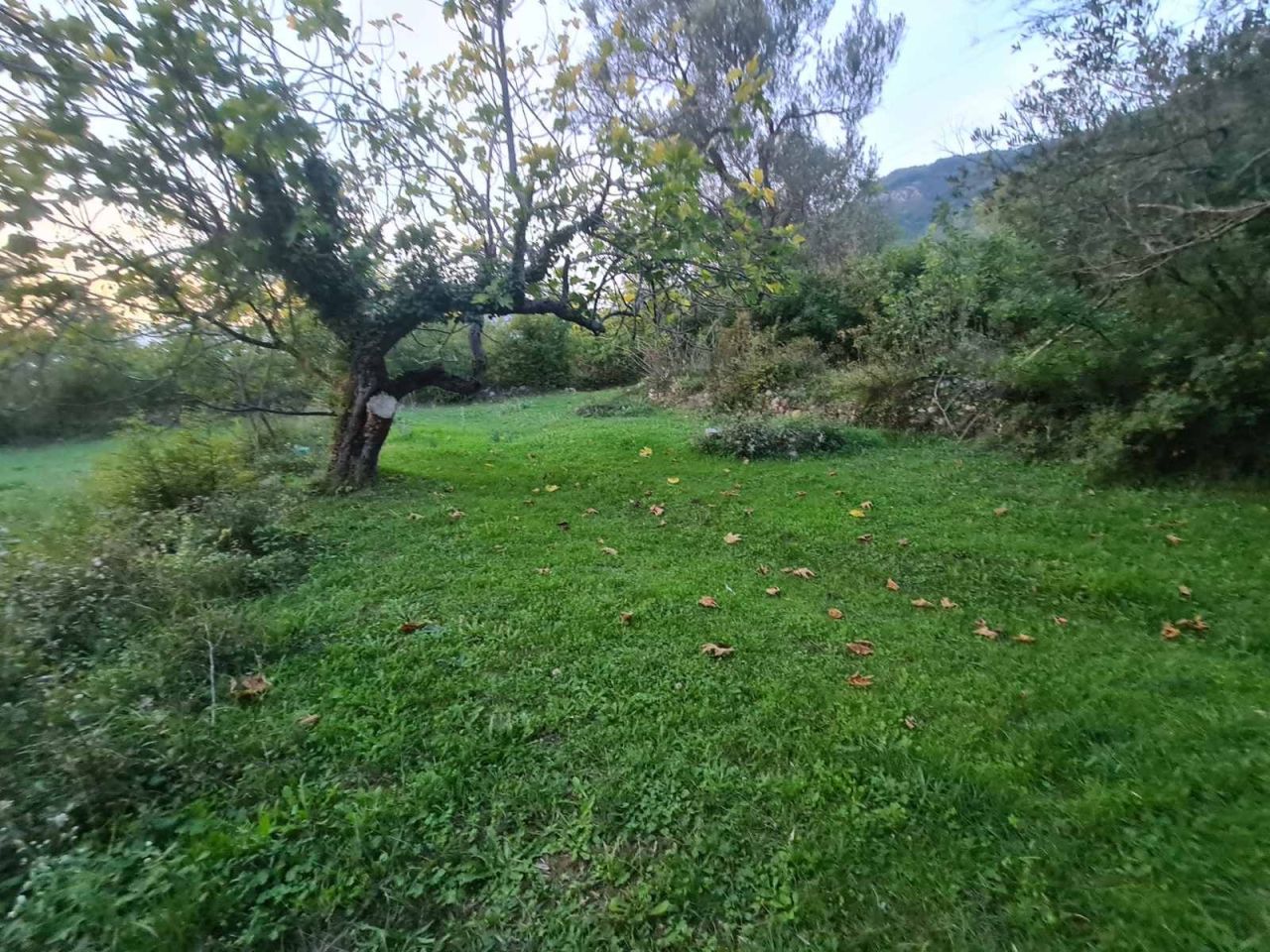 Terrain à Kotor, Monténégro, 2 171 m² - image 5