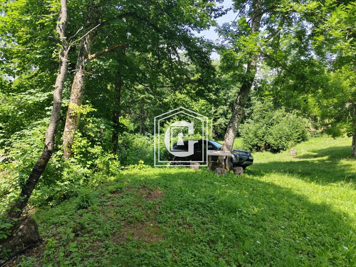 Land in Kolasin, Montenegro, 1 313 m² - picture 5