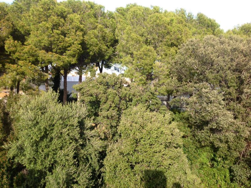 Townhouse a Cambrils, Spagna, 250 m² - foto 2