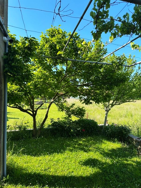 Casa en Nikšić, Montenegro, 166 m² - imagen 13