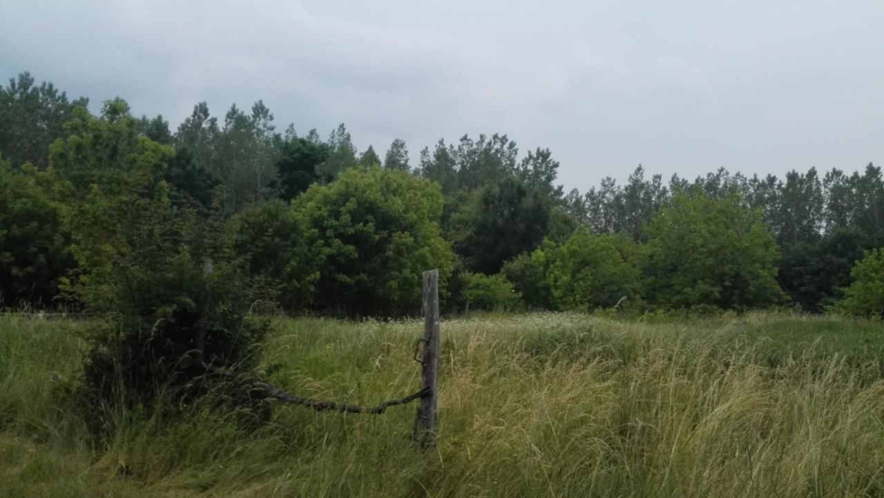 Farm Jánossomorja, Hungary, 295 770 m² - picture 4