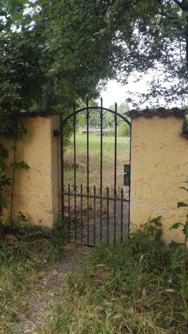 Farm Jánossomorja, Hungary, 295 770 m² - picture 5