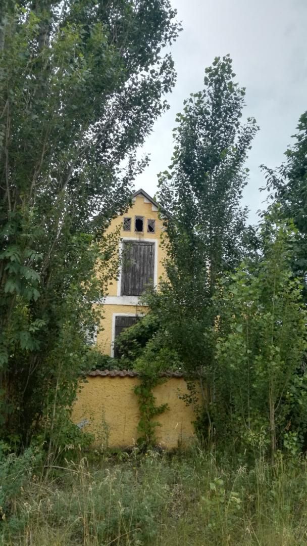 Farm Jánossomorja, Hungary, 295 770 m² - picture 6