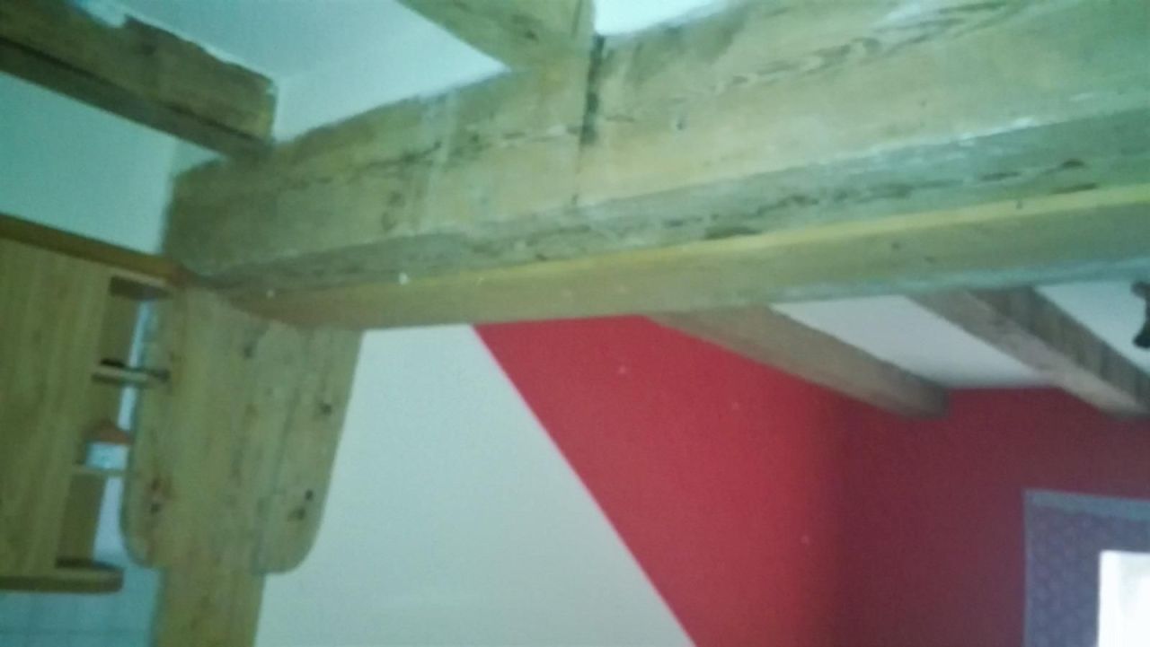 Farm Jánossomorja, Hungary, 295 770 m² - picture 7