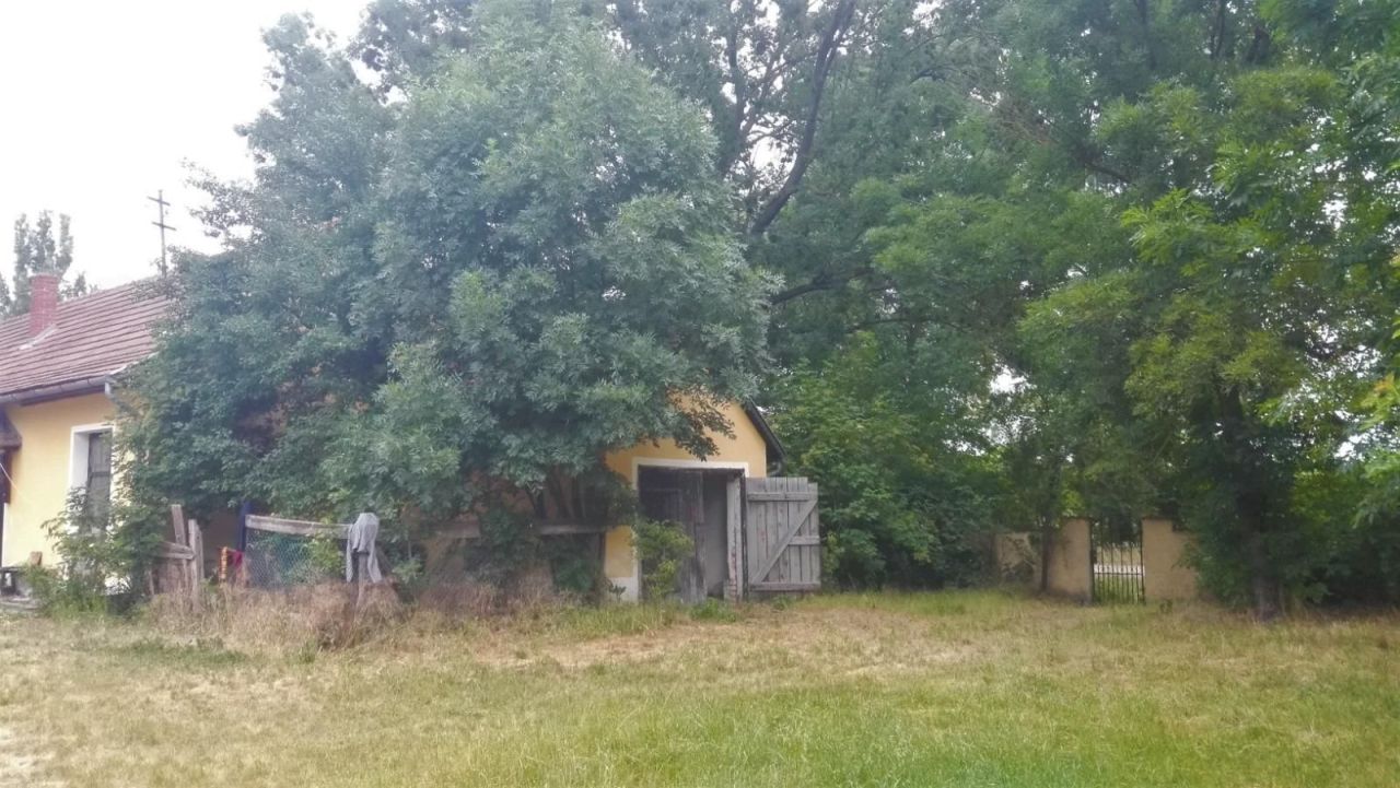 Farm Jánossomorja, Hungary, 295 770 m² - picture 13