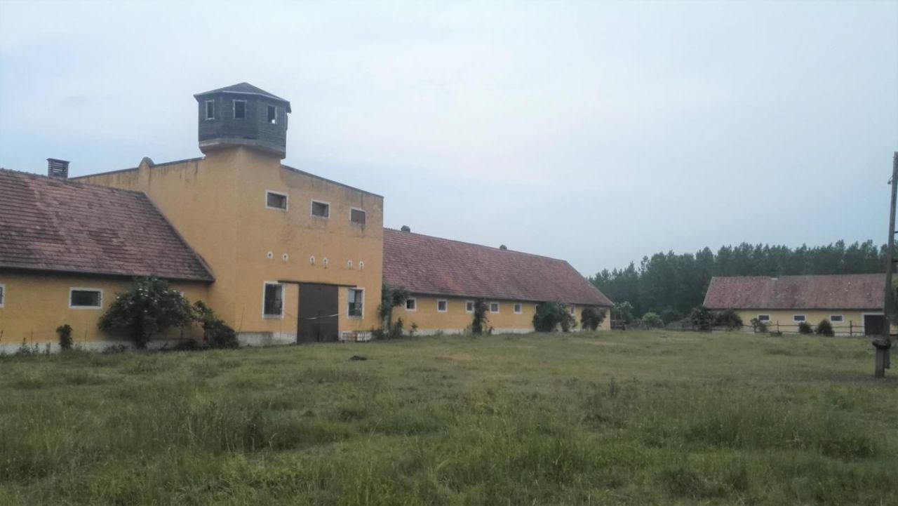 Farm Jánossomorja, Hungary, 295 770 m² - picture 14
