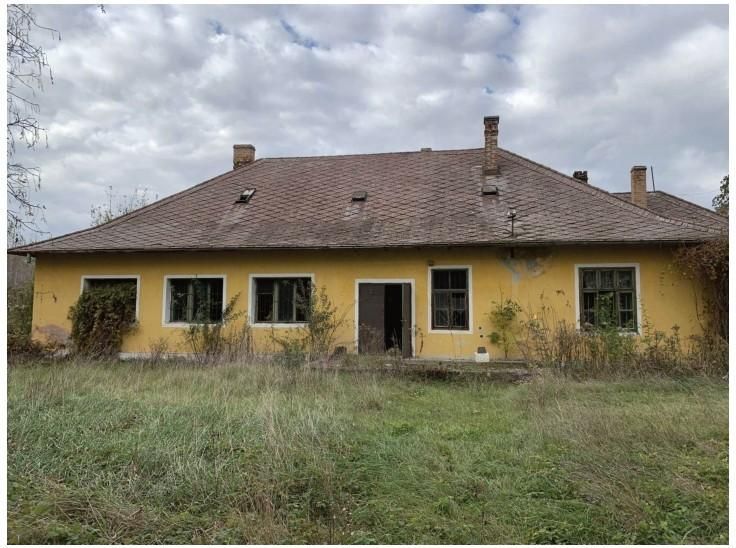 Farm Jánossomorja, Hungary, 295 770 m² - picture 17