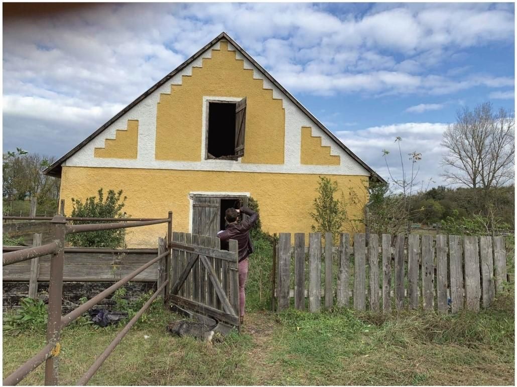 Farm Jánossomorja, Hungary, 295 770 m² - picture 19