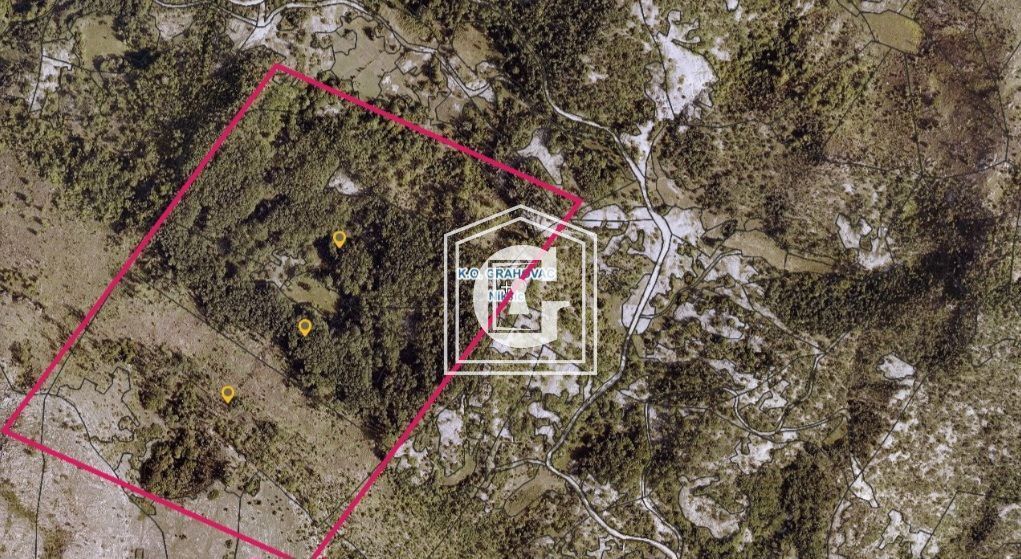 Land in Grahovo, Montenegro, 140 339 m² - picture 1