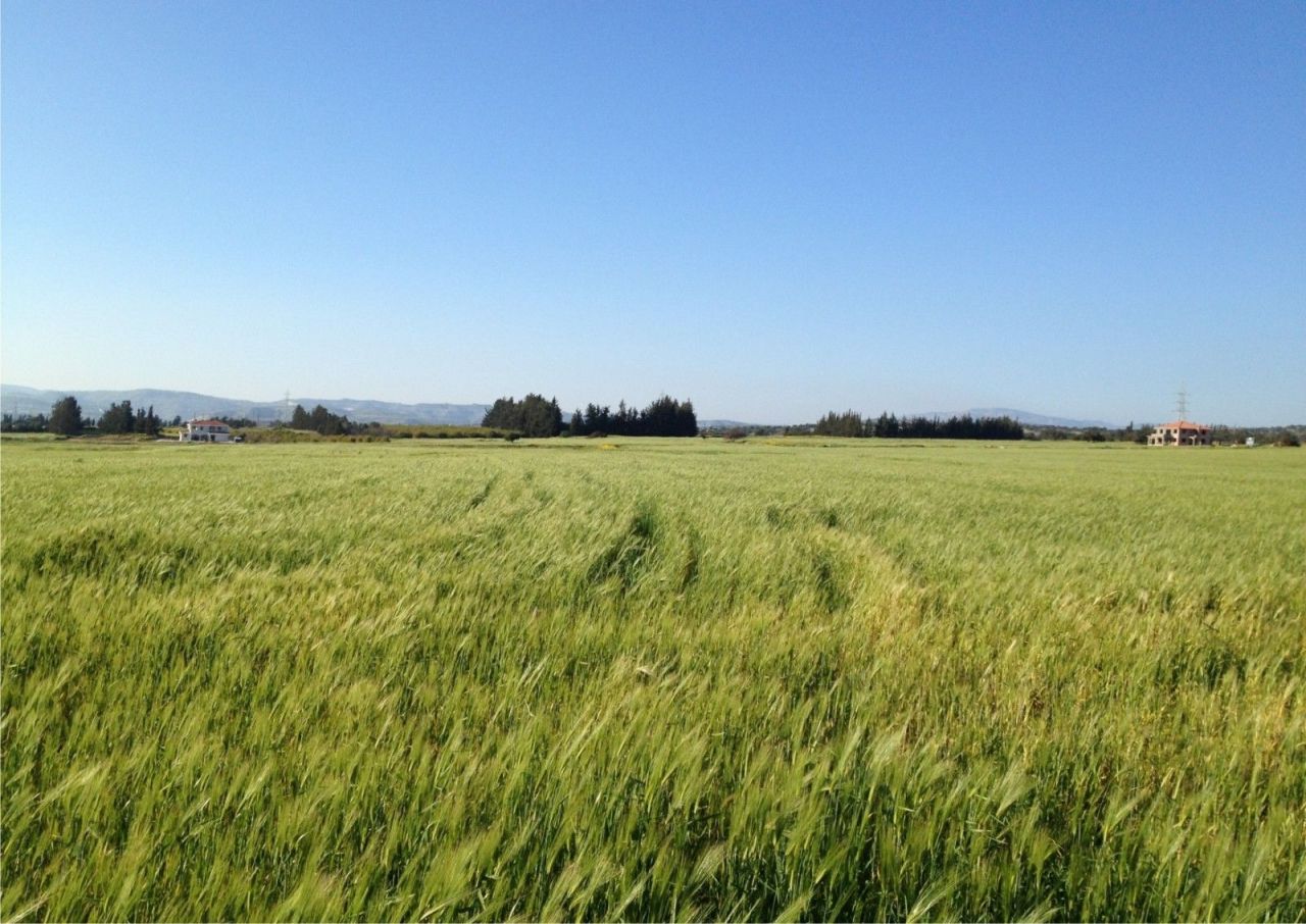Terreno en Pafos, Chipre, 277 601 m² - imagen 1