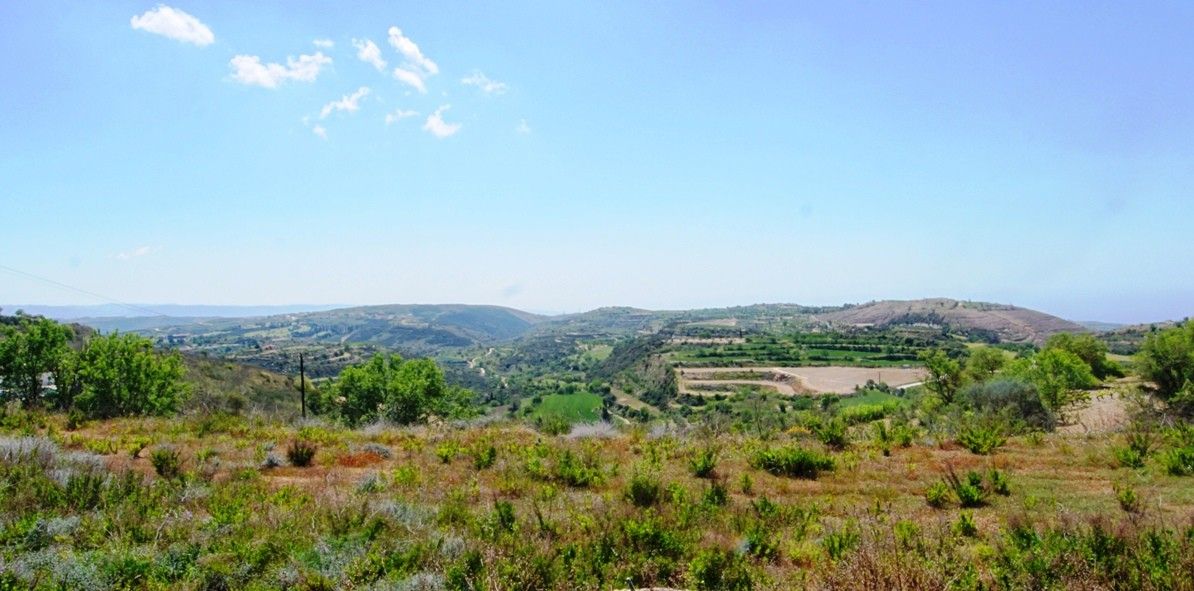 Terrain à Paphos, Chypre, 1 262 m² - image 1