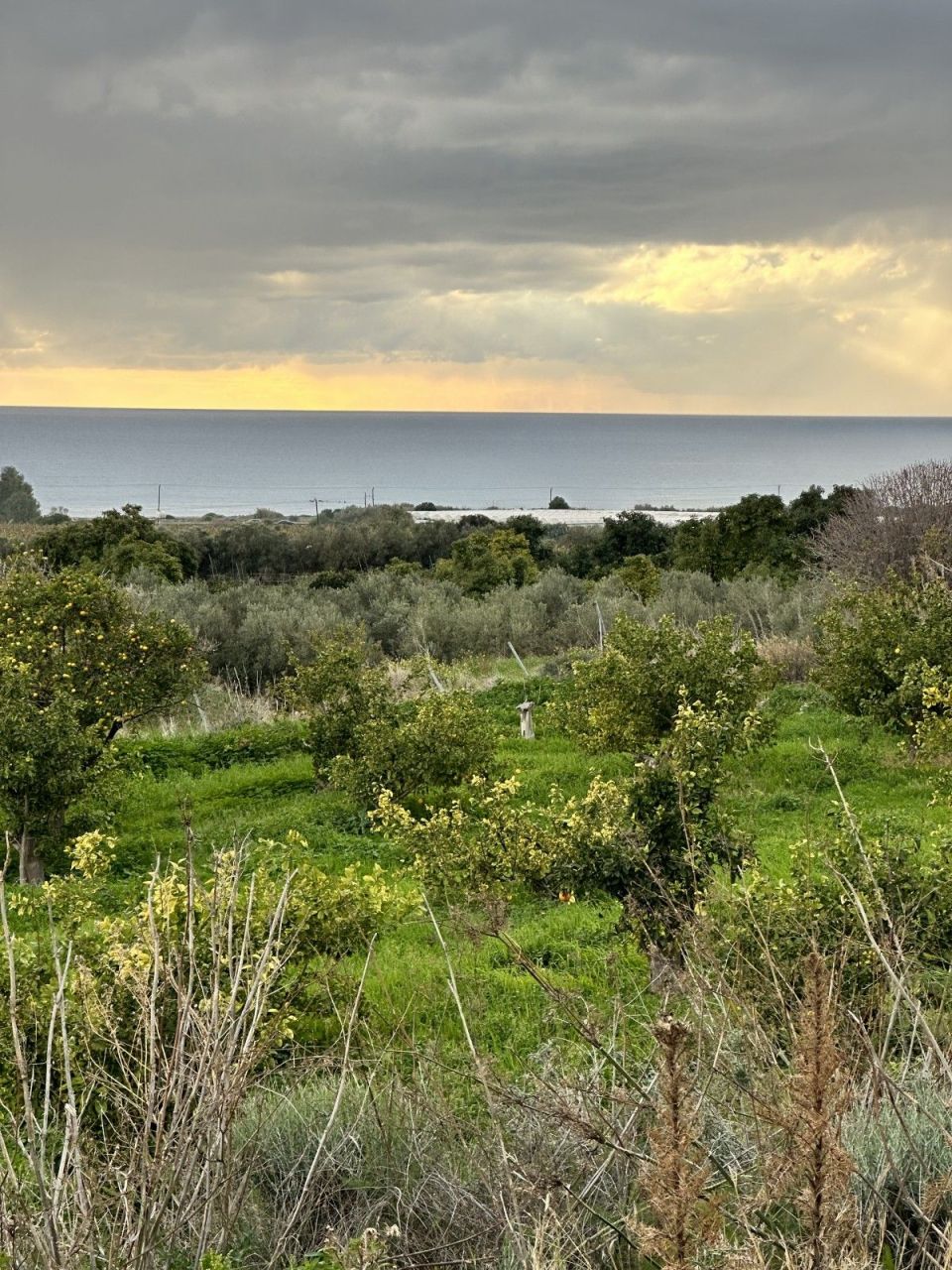 Grundstück in Paphos, Zypern, 4 229 m² - Foto 1