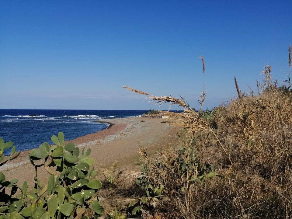 Grundstück in Paphos, Zypern - Foto 1