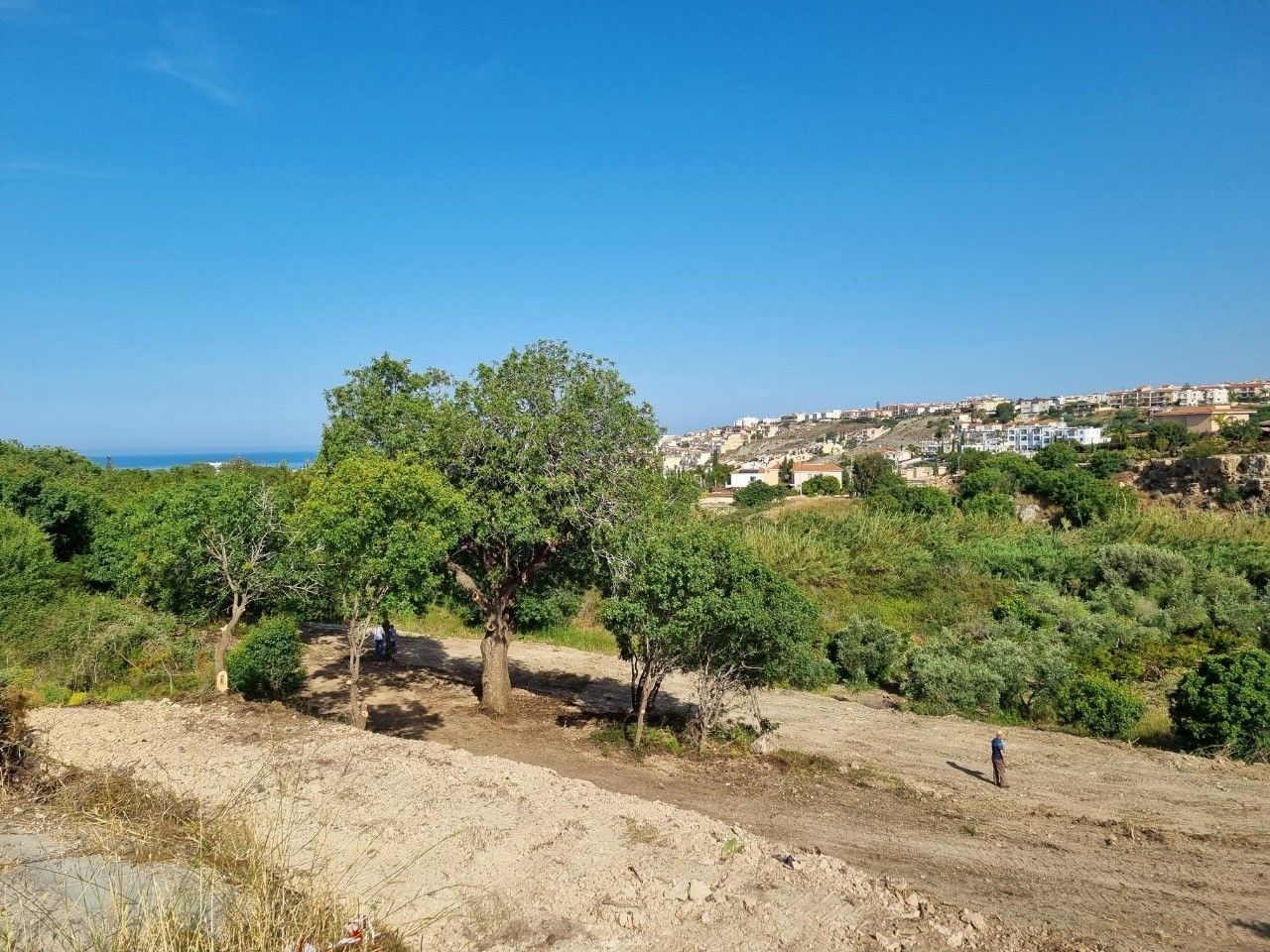 Land in Paphos, Cyprus, 2 984 m² - picture 1