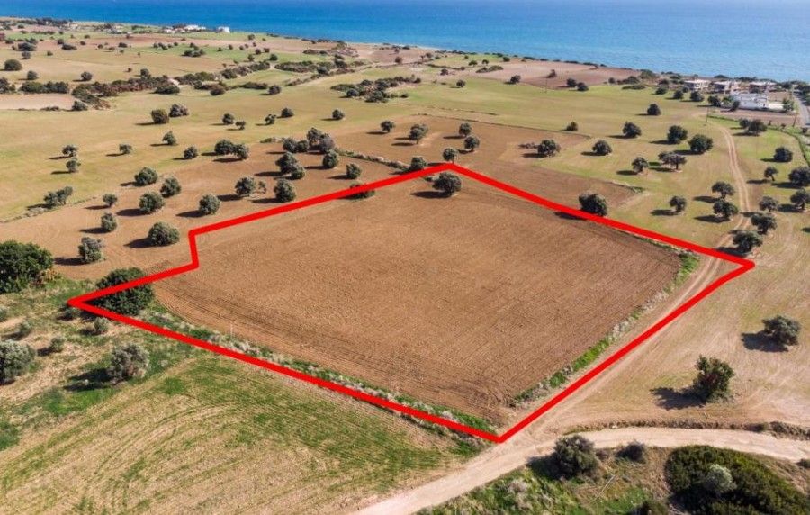 Land in Larnaca, Cyprus, 7 024 m² - picture 1