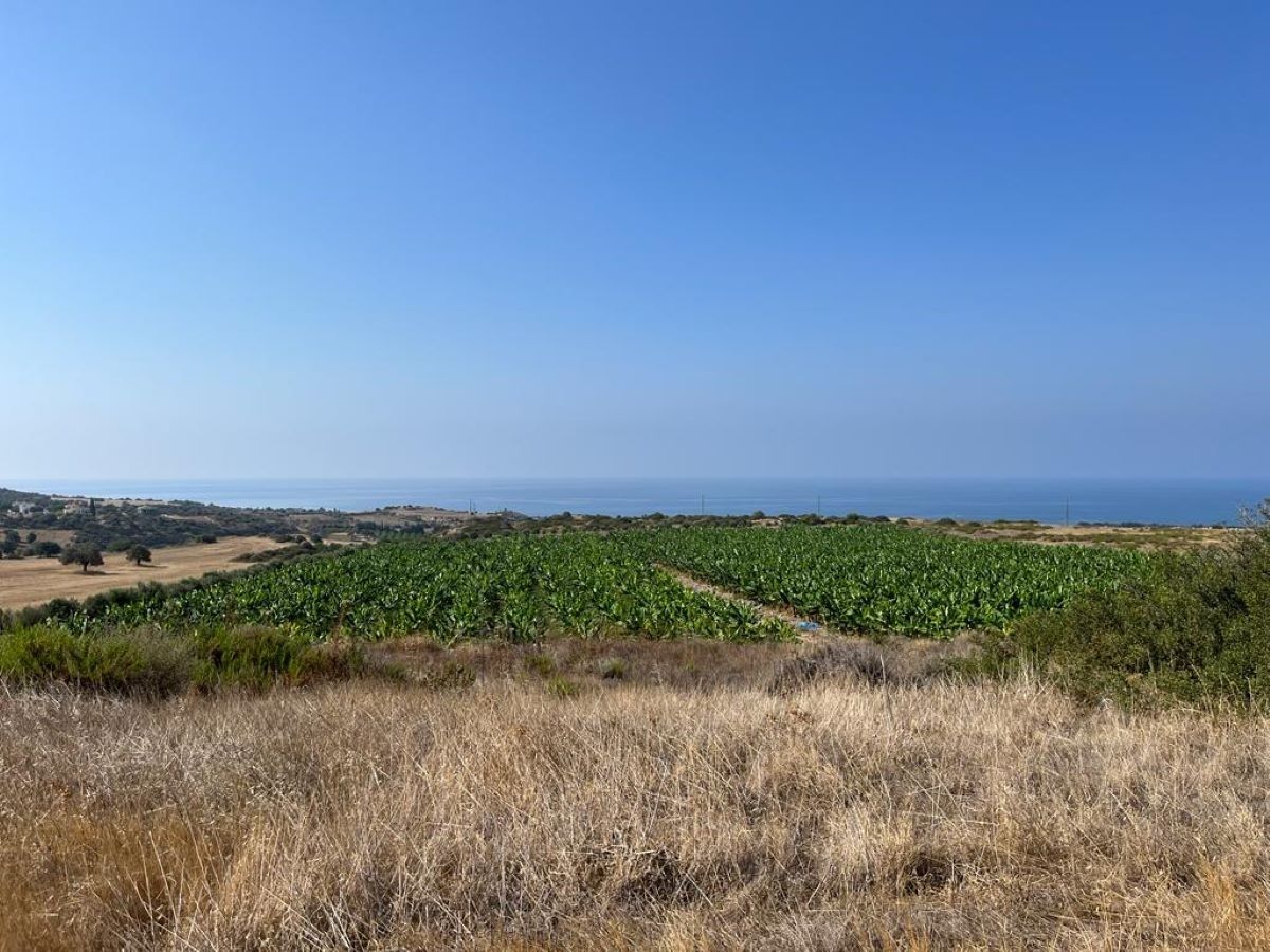 Land in Paphos, Cyprus, 103 346 m² - picture 1