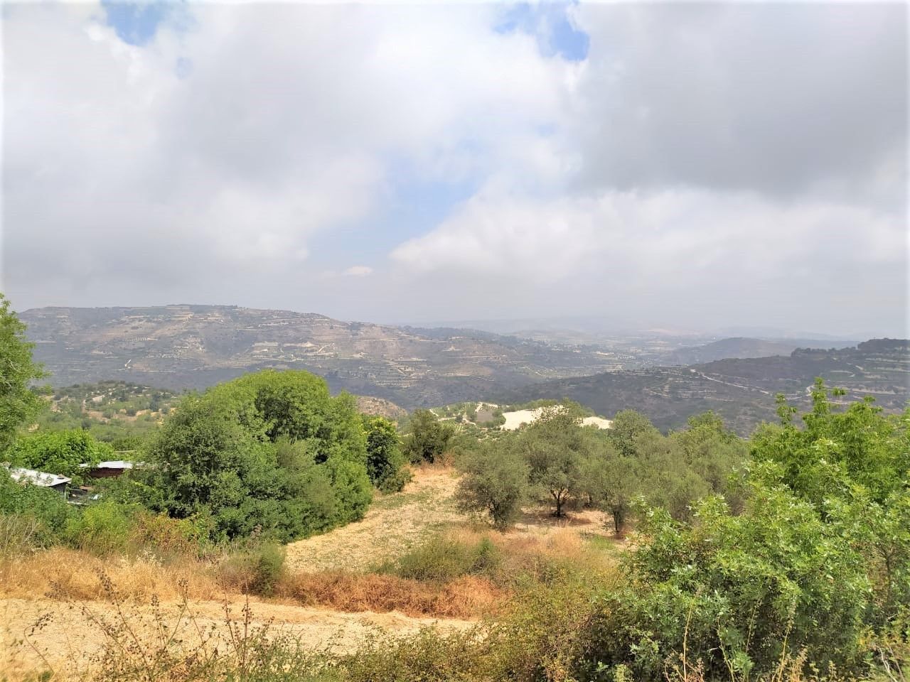Terreno a Paphos, Cipro, 14 000 m2 - foto 1