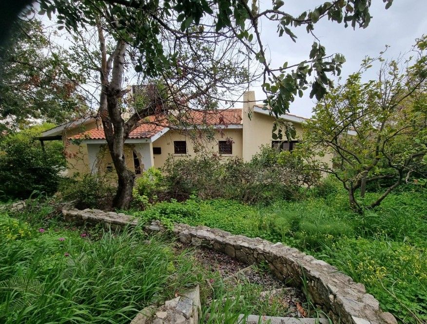 Bungalow in Paphos, Cyprus, 135 m² - picture 1