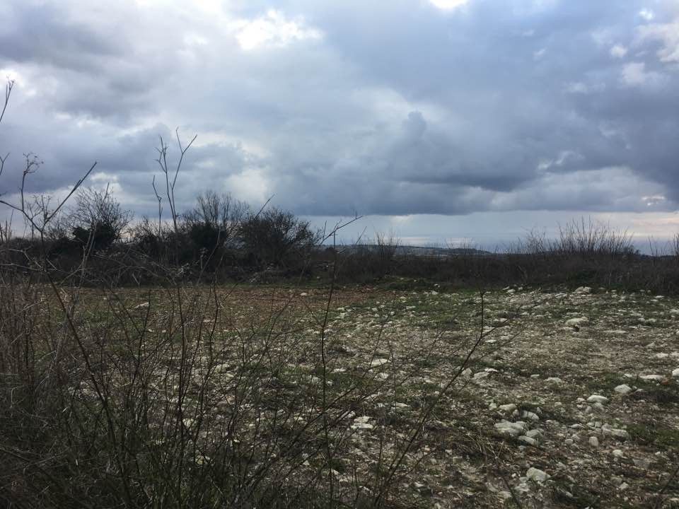 Land in Paphos, Cyprus - picture 1
