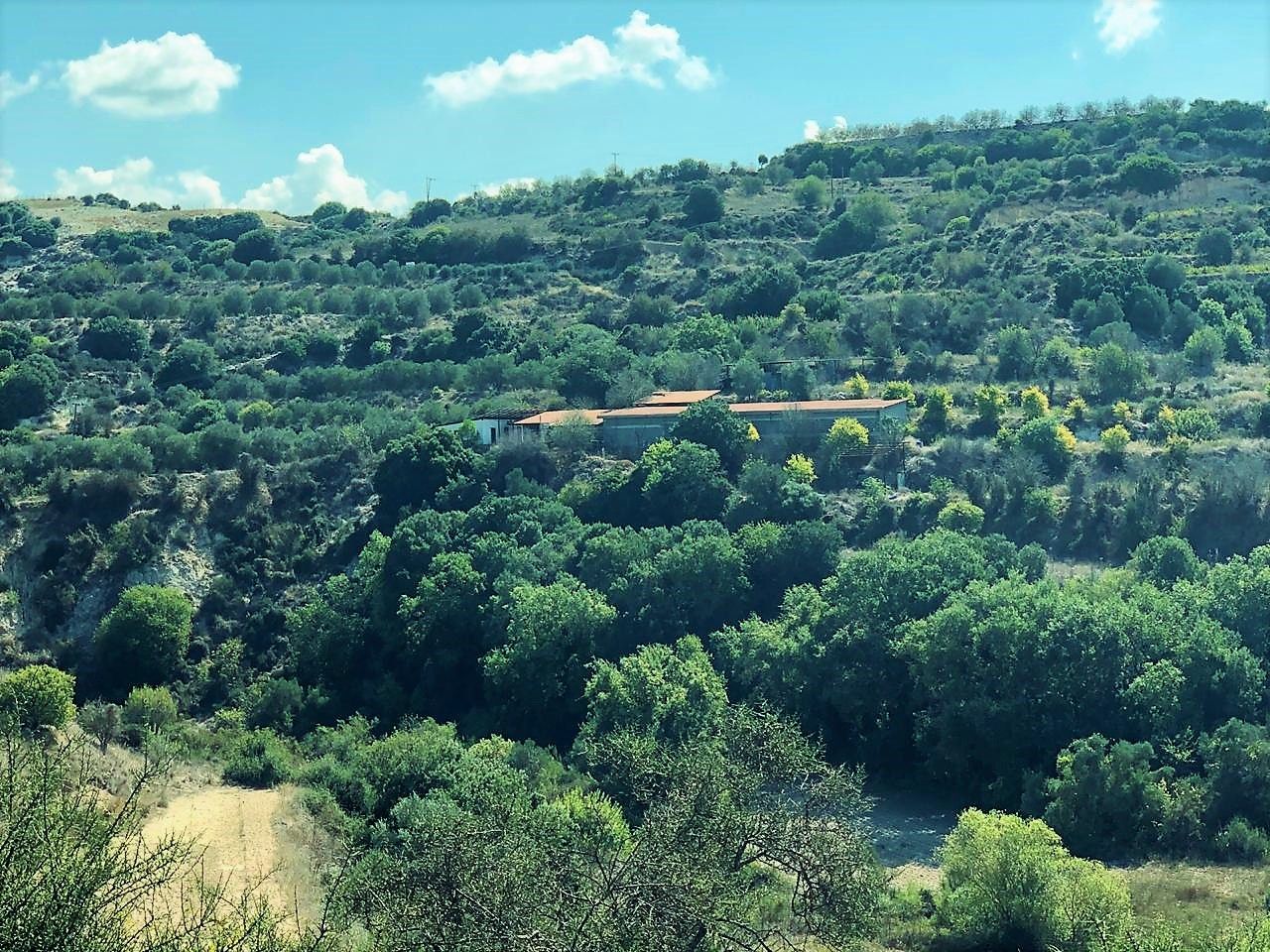 Grundstück in Paphos, Zypern, 79 936 m² - Foto 1