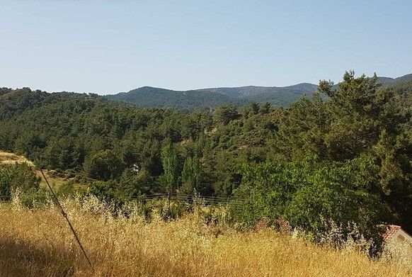 Terreno en Limasol, Chipre, 2 318 m² - imagen 1