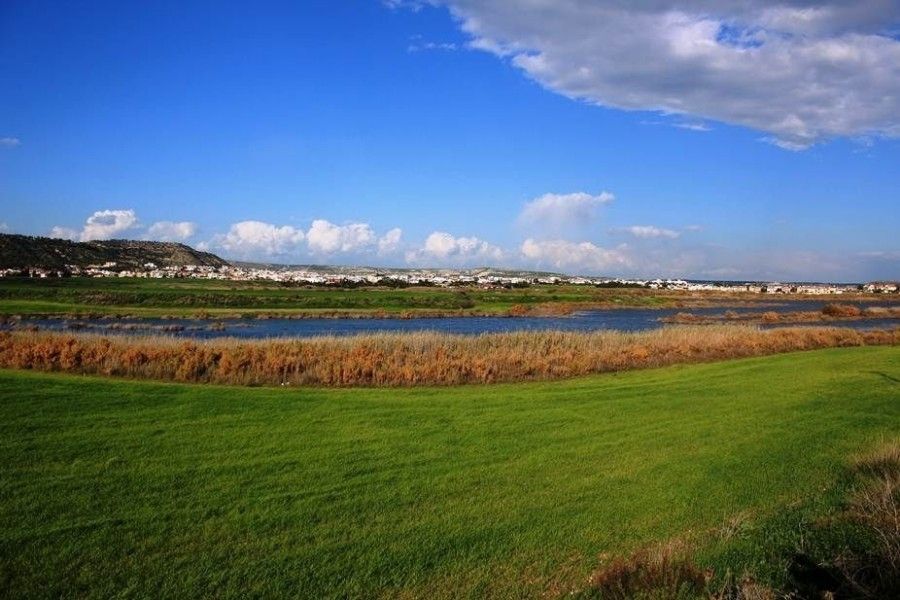 Land in Larnaca, Cyprus, 4 790 m² - picture 1
