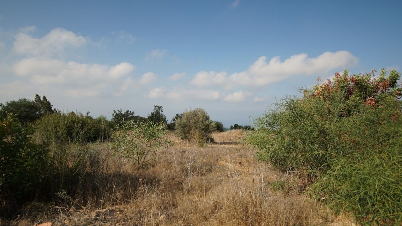 Terreno a Paphos, Cipro, 7 946 m2 - foto 1