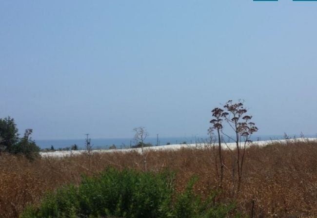 Land in Larnaca, Cyprus, 7 135 m² - picture 1